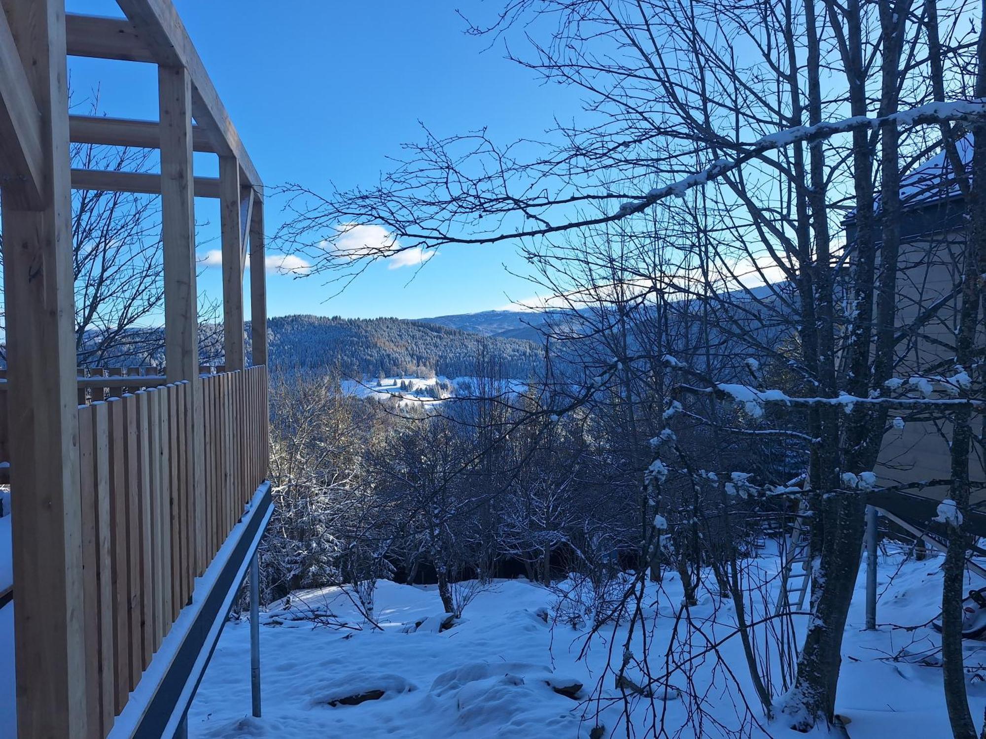 Nature Living Koralm - Neue Chalets Auf Der Koralpe Im Schi- Und Wanderparadies Sankt Stefan im Lavanttal Exterior foto